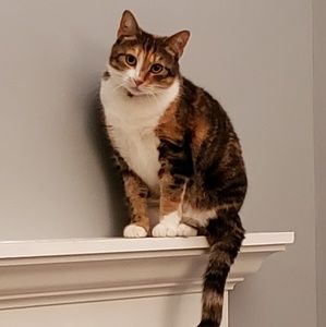 Meet your Posher, Tonya